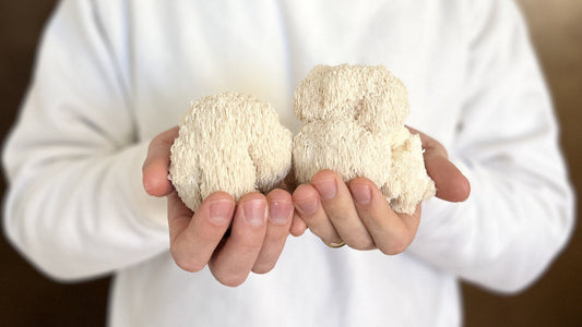 Gut Health: How Mushrooms Can Transform Your Digestive Wellness