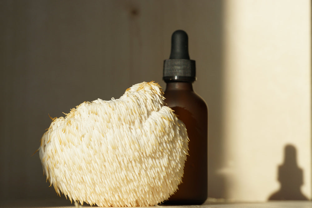 Lion's Mane Tincture