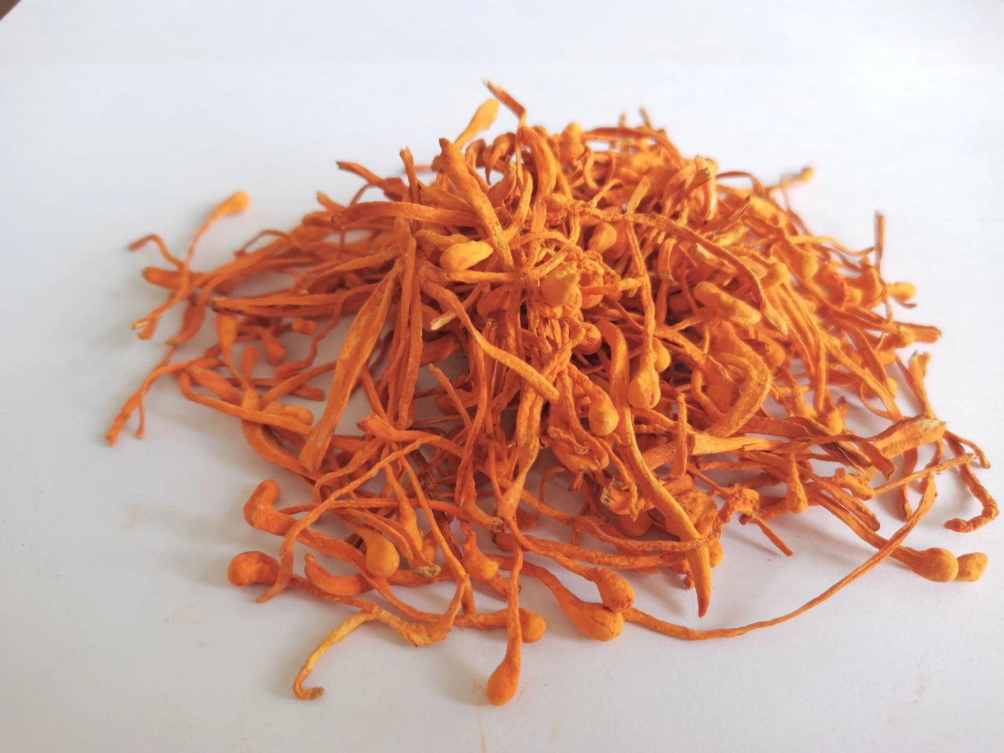 Dried Cordyceps